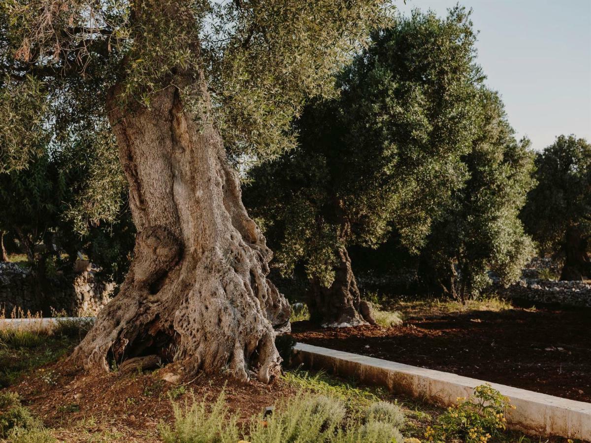 Masseria Dagilupi Ostuni Exteriér fotografie
